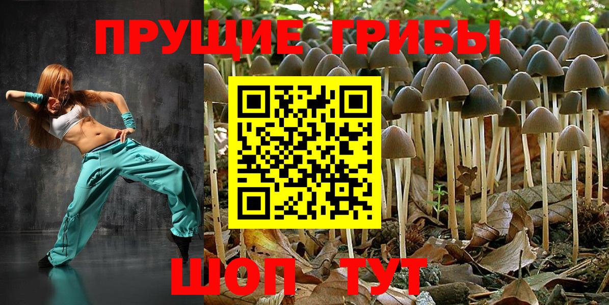 Галлюциногенные грибы мухоморы Королёв
