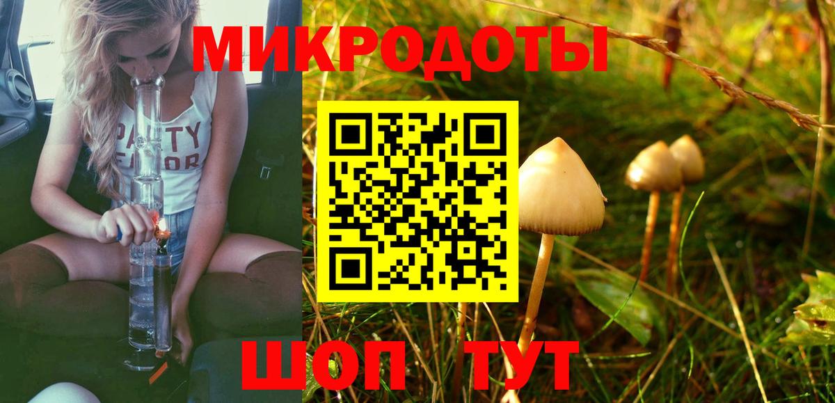 Королёв  Псилоцибиновые грибы мицелий  Вход с VPN 